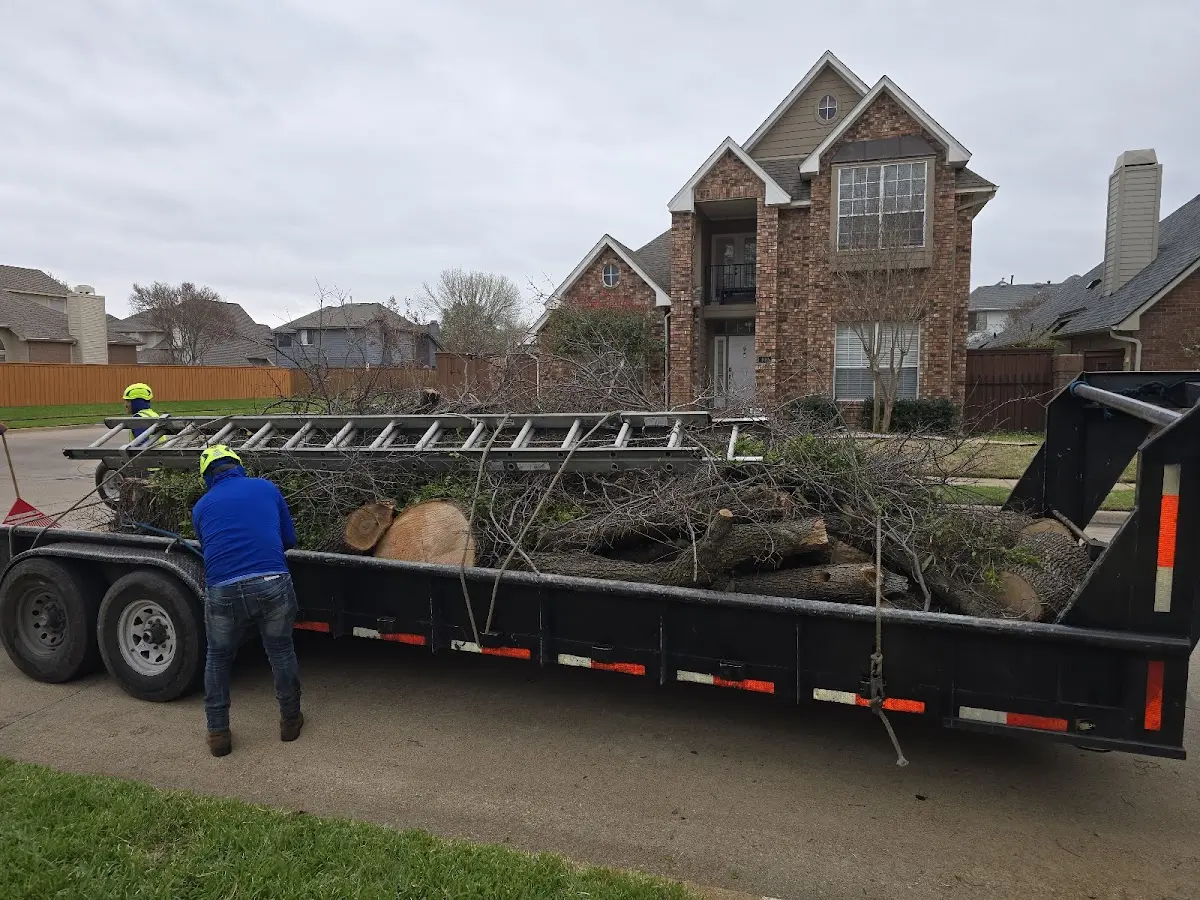 Expert Crown Reduction with proper safety equipment in East Canton